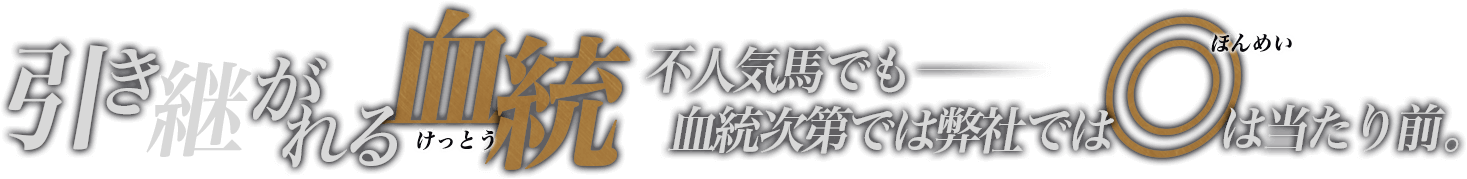 引き継がれる血筋 不人気馬でも血統次第では弊社では◎は当たり前。